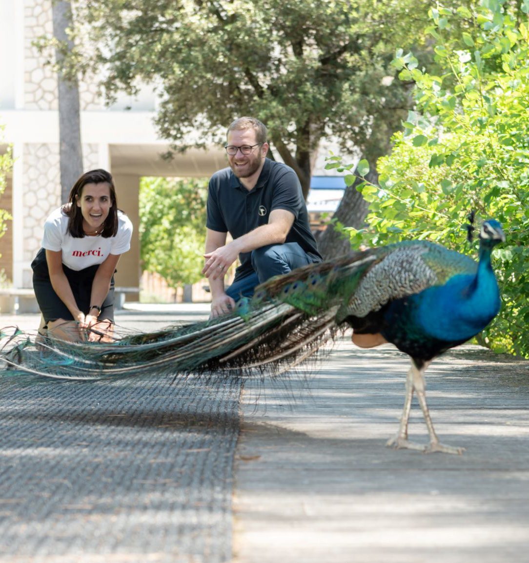 The Listen Leon team with a peacock